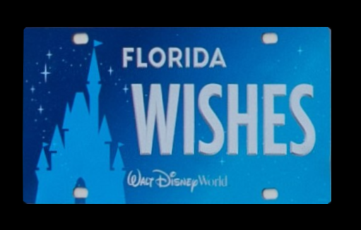 Disney unveils new specialty Florida license