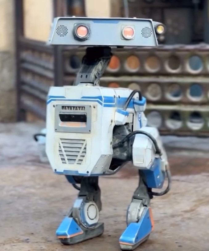 Iger, D’Amaro discuss ‘next steps’ for playtest of free-roaming robotic characters